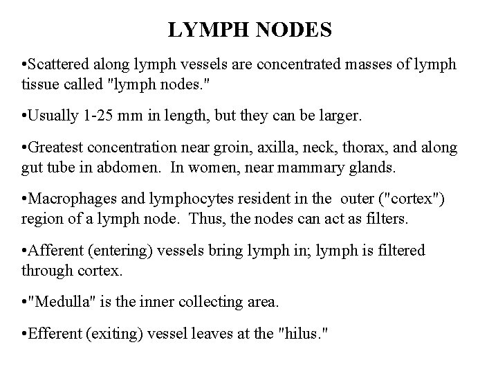 LYMPH NODES • Scattered along lymph vessels are concentrated masses of lymph tissue called LYMPH NODES • Scattered along lymph vessels are concentrated masses of lymph tissue called