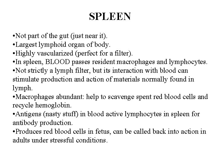SPLEEN • Not part of the gut (just near it). • Largest lymphoid organ SPLEEN • Not part of the gut (just near it). • Largest lymphoid organ