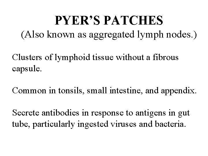PYER’S PATCHES (Also known as aggregated lymph nodes. ) Clusters of lymphoid tissue without PYER’S PATCHES (Also known as aggregated lymph nodes. ) Clusters of lymphoid tissue without