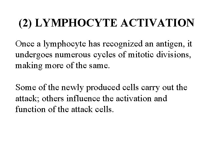 (2) LYMPHOCYTE ACTIVATION Once a lymphocyte has recognized an antigen, it undergoes numerous cycles (2) LYMPHOCYTE ACTIVATION Once a lymphocyte has recognized an antigen, it undergoes numerous cycles