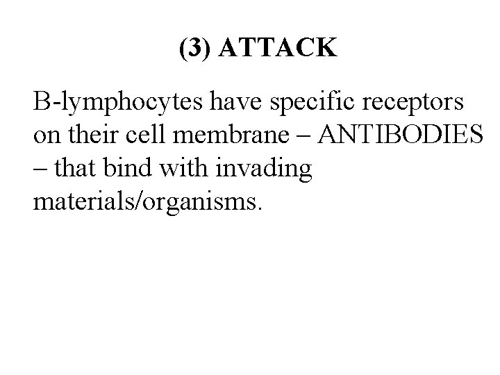 (3) ATTACK B-lymphocytes have specific receptors on their cell membrane – ANTIBODIES – that (3) ATTACK B-lymphocytes have specific receptors on their cell membrane – ANTIBODIES – that