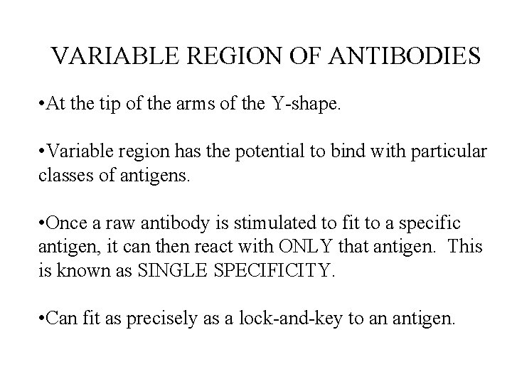 VARIABLE REGION OF ANTIBODIES • At the tip of the arms of the Y-shape. VARIABLE REGION OF ANTIBODIES • At the tip of the arms of the Y-shape.