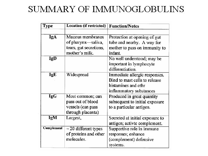 SUMMARY OF IMMUNOGLOBULINS SUMMARY OF IMMUNOGLOBULINS