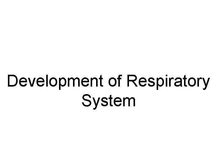 Development of Respiratory System Development of Respiratory System