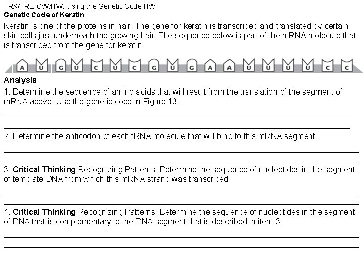 TRX/TRL: CW/HW: Using the Genetic Code HW Genetic Code of Keratin is one of TRX/TRL: CW/HW: Using the Genetic Code HW Genetic Code of Keratin is one of