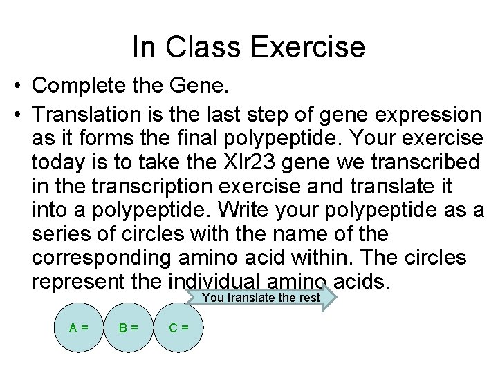 In Class Exercise • Complete the Gene. • Translation is the last step of In Class Exercise • Complete the Gene. • Translation is the last step of