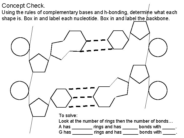Concept Check. Using the rules of complementary bases and h-bonding, determine what each shape Concept Check. Using the rules of complementary bases and h-bonding, determine what each shape
