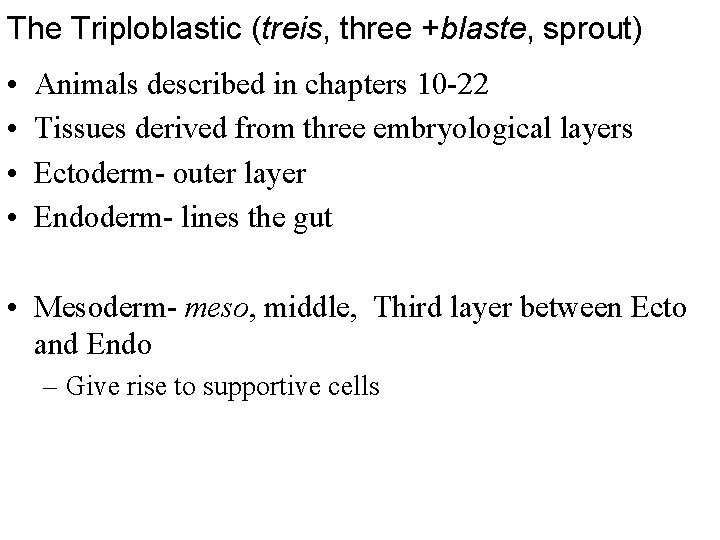 The Triploblastic (treis, three +blaste, sprout) • • Animals described in chapters 10 -22