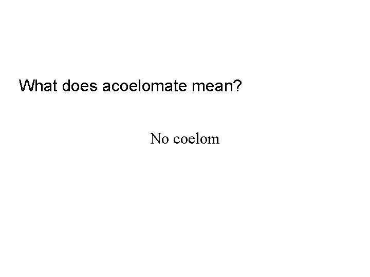 What does acoelomate mean? No coelom 