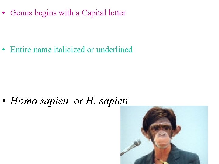  • Genus begins with a Capital letter • Entire name italicized or underlined