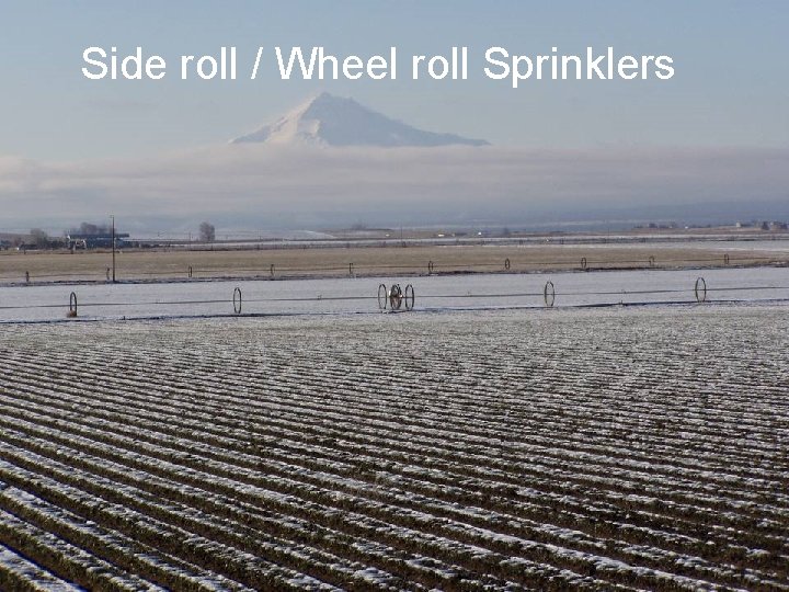 Side roll / Wheel roll Sprinklers 