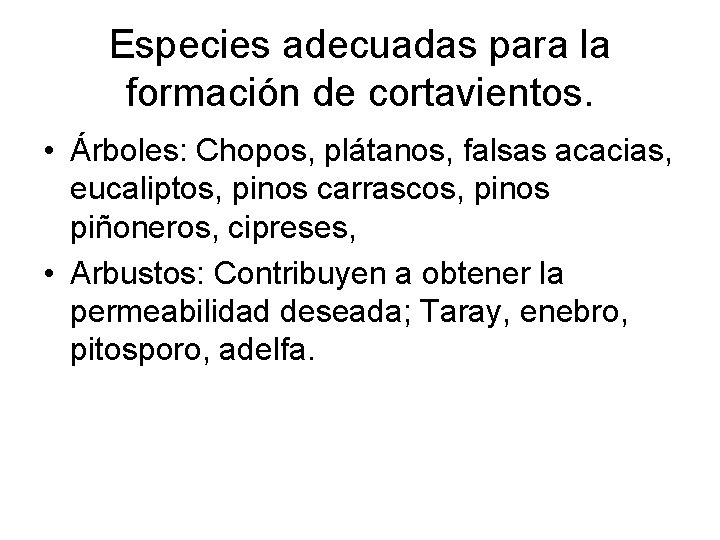 Especies adecuadas para la formación de cortavientos. • Árboles: Chopos, plátanos, falsas acacias, eucaliptos,