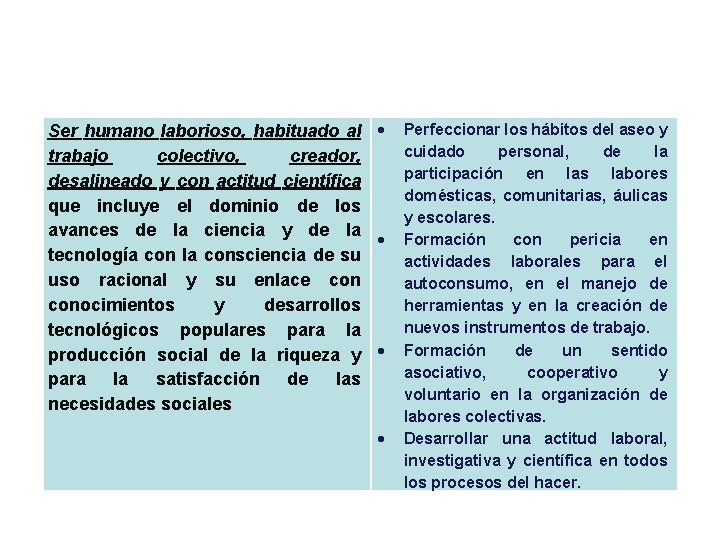 Ser humano laborioso, habituado al trabajo colectivo, creador, desalineado y con actitud científica que