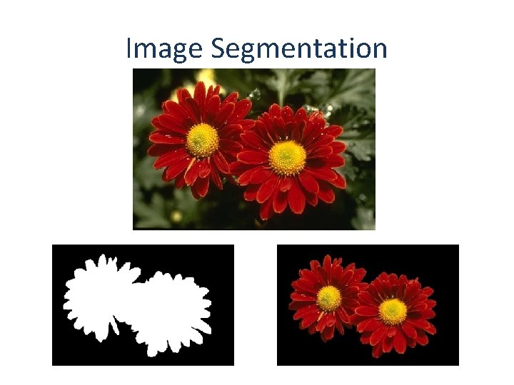 Image Segmentation 