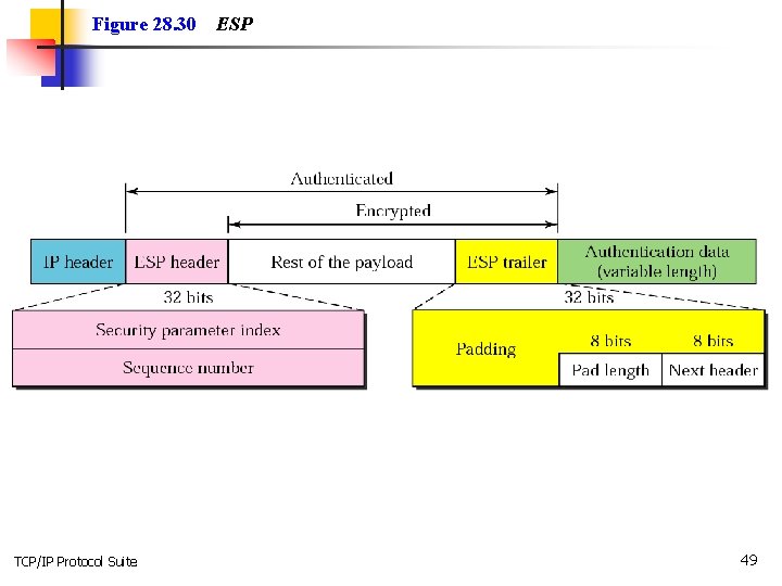 Figure 28. 30 TCP/IP Protocol Suite ESP 49 