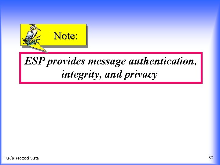 Note: ESP provides message authentication, integrity, and privacy. TCP/IP Protocol Suite 50 