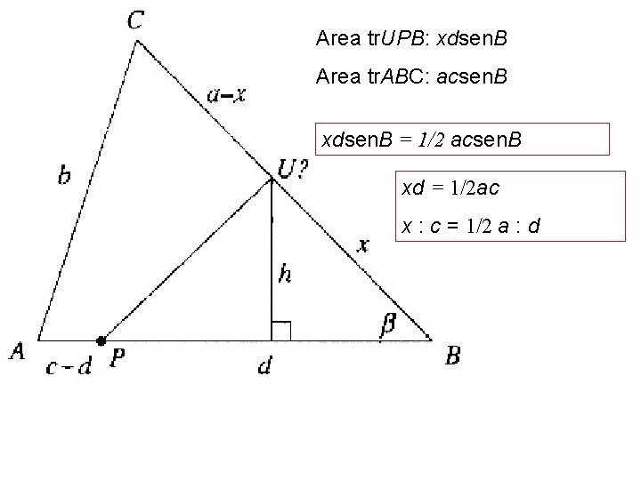 Area tr. UPB: xdsen. B Area tr. ABC: acsen. B xdsen. B = 1/2