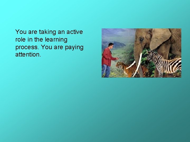 You are taking an active role in the learning process. You are paying attention.