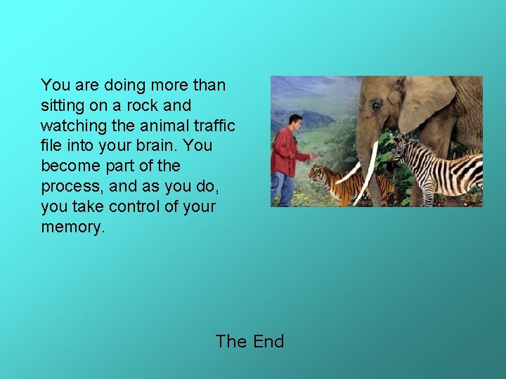 You are doing more than sitting on a rock and watching the animal traffic