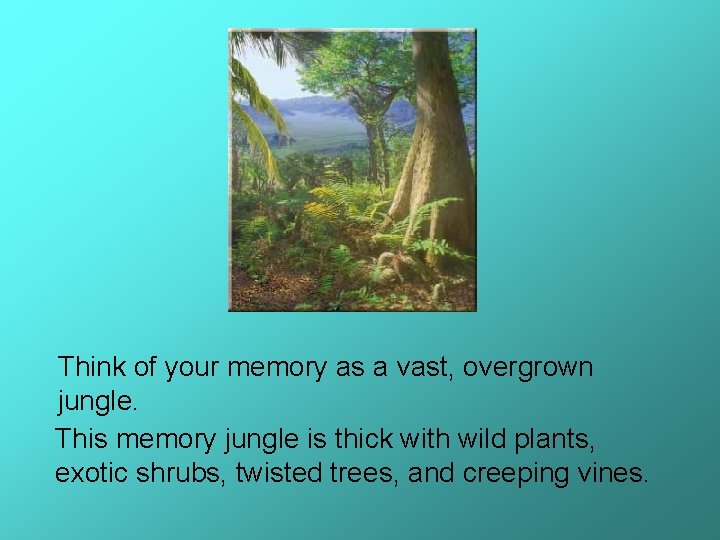 Think of your memory as a vast, overgrown jungle. This memory jungle is thick