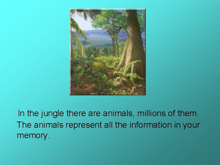 In the jungle there animals, millions of them. The animals represent all the information