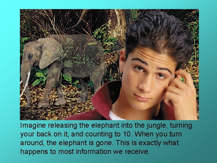 Imagine releasing the elephant into the jungle, turning your back on it, and counting