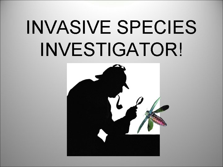 INVASIVE SPECIES INVESTIGATOR! 