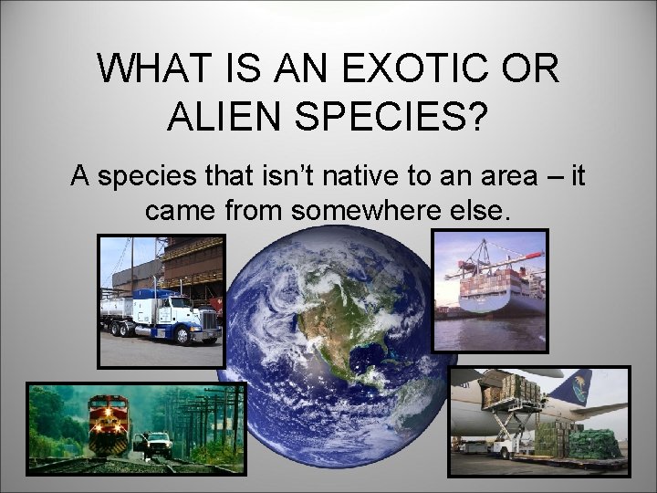 WHAT IS AN EXOTIC OR ALIEN SPECIES? A species that isn’t native to an