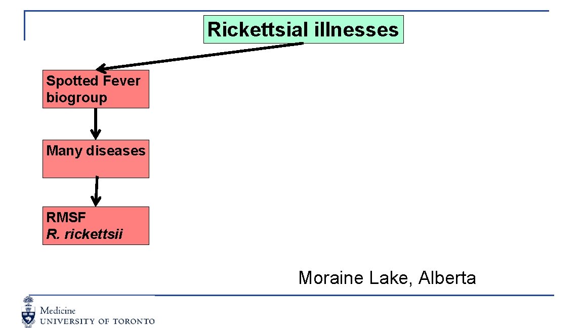 Rickettsial illnesses Spotted Fever biogroup Many diseases RMSF R. rickettsii Moraine Lake, Alberta 