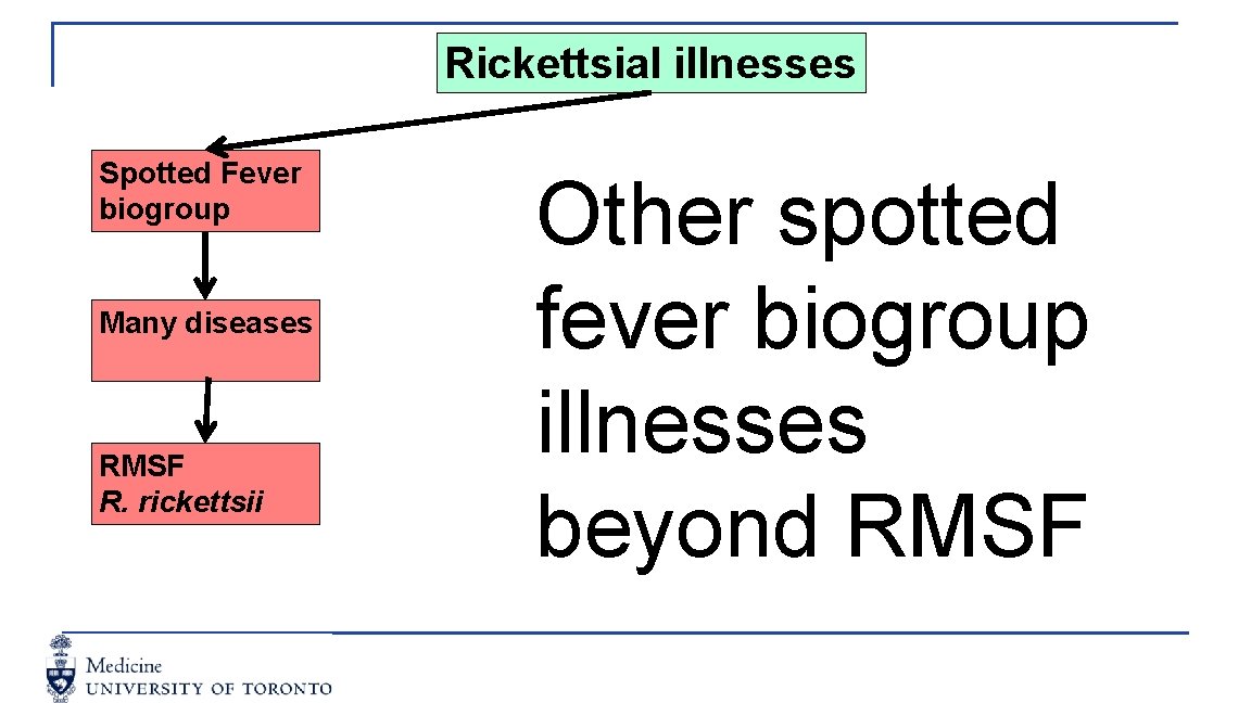 Rickettsial illnesses Spotted Fever biogroup Many diseases RMSF R. rickettsii Other spotted fever biogroup
