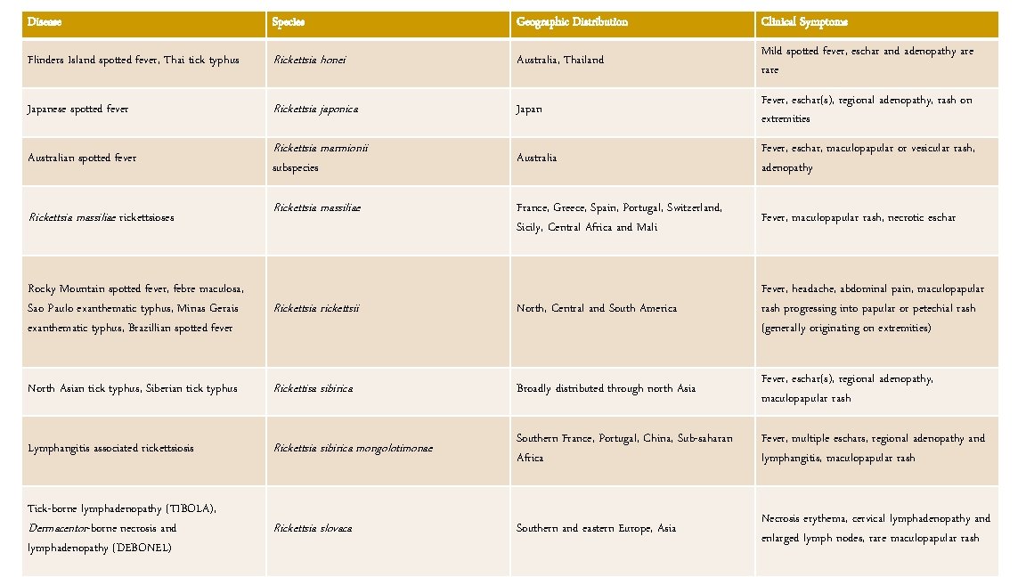 Disease Species Geographic Distribution Clinical Symptoms Flinders Island spotted fever, Thai tick typhus Rickettsia