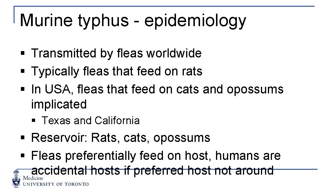 Murine typhus - epidemiology § Transmitted by fleas worldwide § Typically fleas that feed