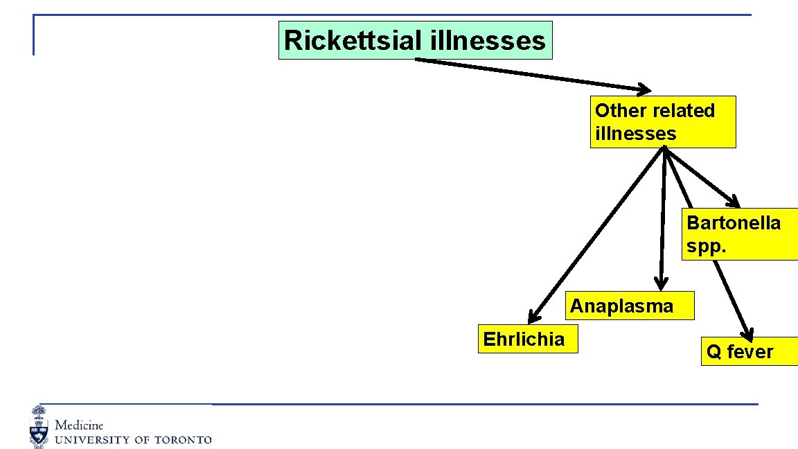 Rickettsial illnesses Other related illnesses Bartonella spp. Anaplasma Ehrlichia Q fever 