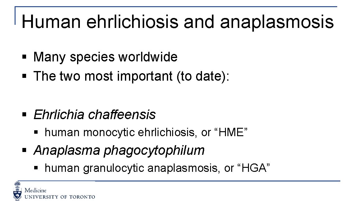 Human ehrlichiosis and anaplasmosis § Many species worldwide § The two most important (to