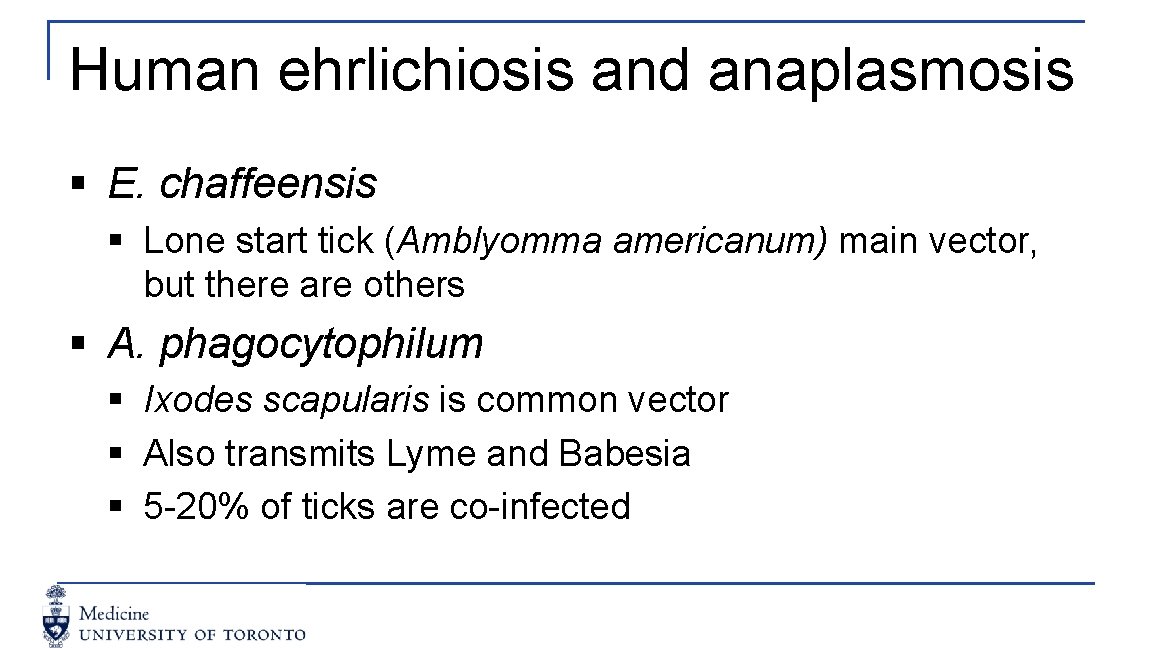 Human ehrlichiosis and anaplasmosis § E. chaffeensis § Lone start tick (Amblyomma americanum) main