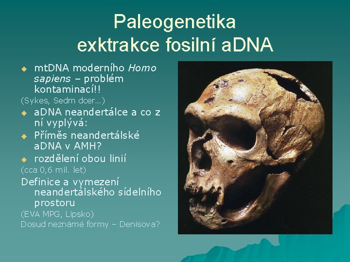 Paleogenetika exktrakce fosilní a. DNA u mt. DNA moderního Homo sapiens – problém kontaminací!!