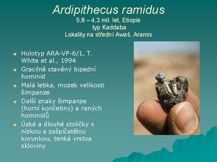 Ardipithecus ramidus 5, 8 – 4, 3 mil. let, Etiopie typ Kaddaba Lokality na