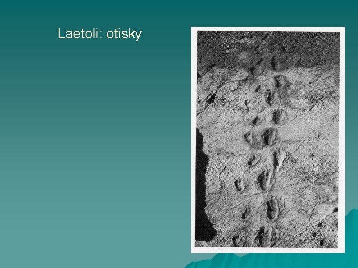 Laetoli: otisky 