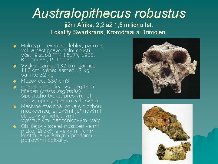 Australopithecus robustus jižní Afrika, 2, 2 až 1, 5 milionu let. Lokality Swartkrans, Kromdraai