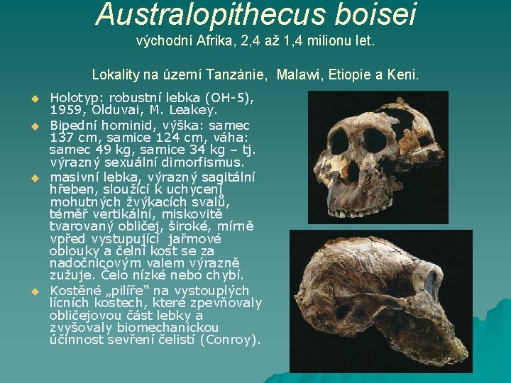 Australopithecus boisei východní Afrika, 2, 4 až 1, 4 milionu let. Lokality na území