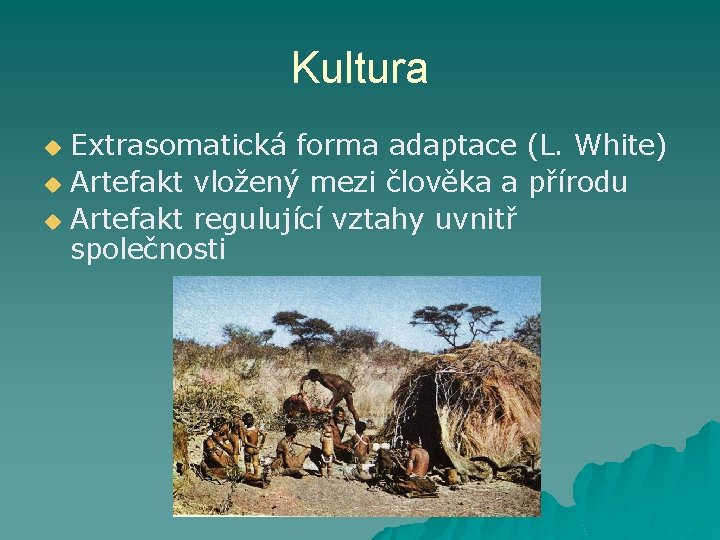 Kultura Extrasomatická forma adaptace (L. White) u Artefakt vložený mezi člověka a přírodu u