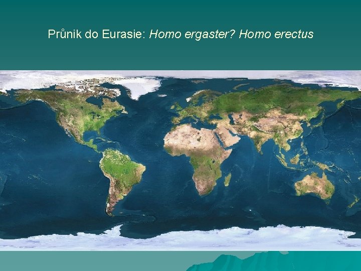 Průnik do Eurasie: Homo ergaster? Homo erectus 