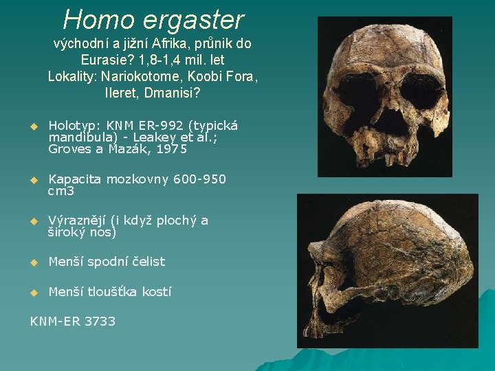 Homo ergaster východní a jižní Afrika, průnik do Eurasie? 1, 8 -1, 4 mil.