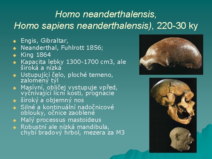 Homo neanderthalensis, Homo sapiens neanderthalensis), 220 -30 ky u u u u u Engis,