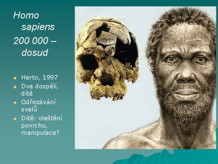 Homo sapiens 200 000 – dosud u u Herto, 1997 Dva dospělí, dítě Odřezávání