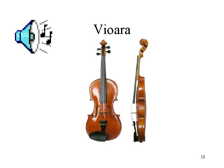 Vioara 10 