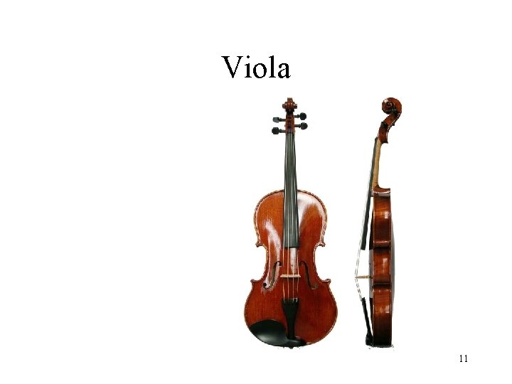 Viola 11 