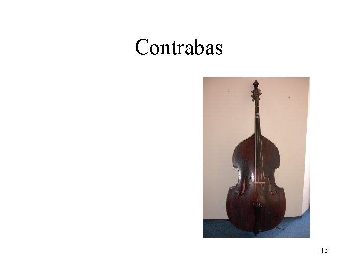 Contrabas 13 