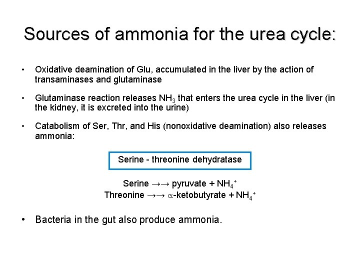 Sources of ammonia for the urea cycle: • Oxidative deamination of Glu, accumulated in