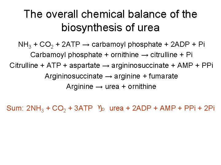 The overall chemical balance of the biosynthesis of urea NH 3 + CO 2